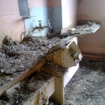 Pigeon Nests & Fouling in a Kitchen